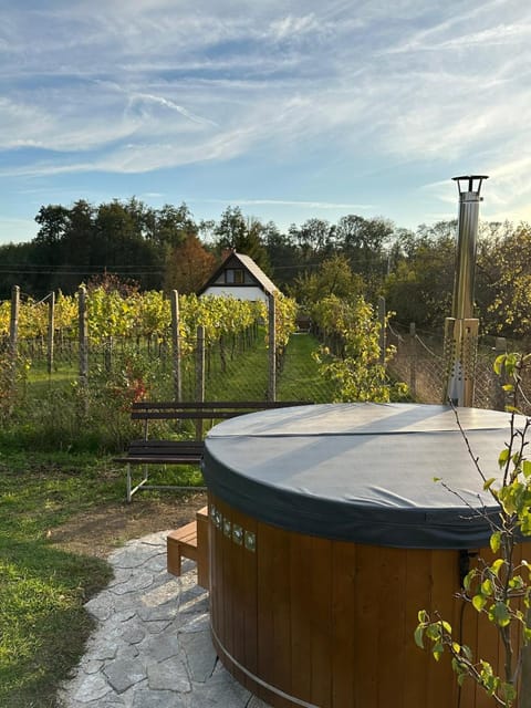 Natural landscape, Garden, Hot Tub, Garden view