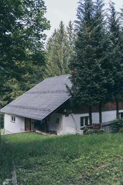 Property building, Natural landscape, Garden
