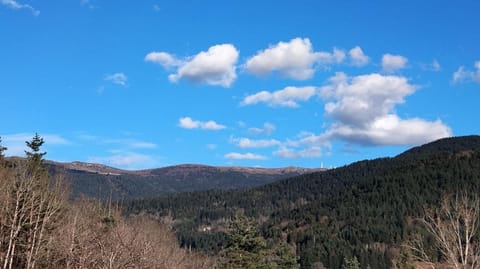 Nearby landmark, Mountain view