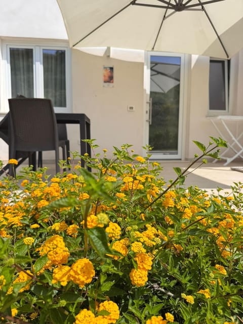 Property building, View (from property/room), Garden view