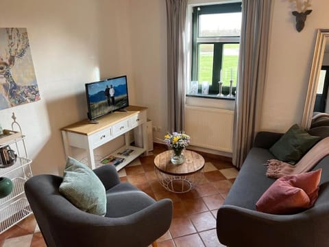 TV and multimedia, Living room, Seating area, Evening entertainment