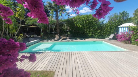 Garden, Swimming pool