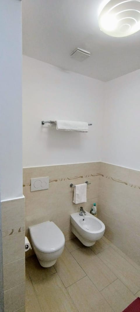 Toilet, Bathroom, bidet