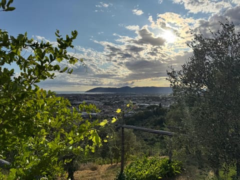 Spring, Day, Natural landscape, Bird's eye view, Summer, BBQ facilities, View (from property/room), Autumn, City view, Garden view, Mountain view, Sea view, Street view, Seasons, Time of day, Sunset, Quiet street view, pet friendly, sunbed