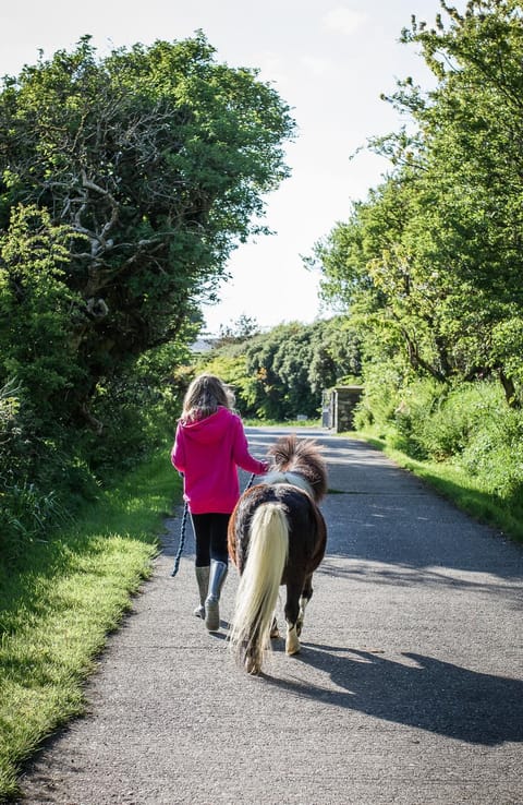 Kionslieu Farm Cottages Apartment in Isle of Man