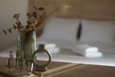 Welina guesthouse Apartment in Volos