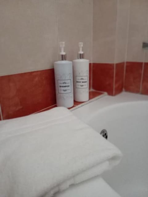 Welina guesthouse Apartment in Volos