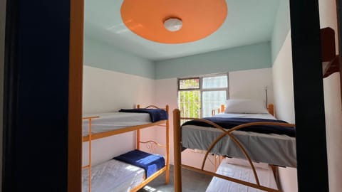 Bed, Photo of the whole room, Bedroom, bunk bed