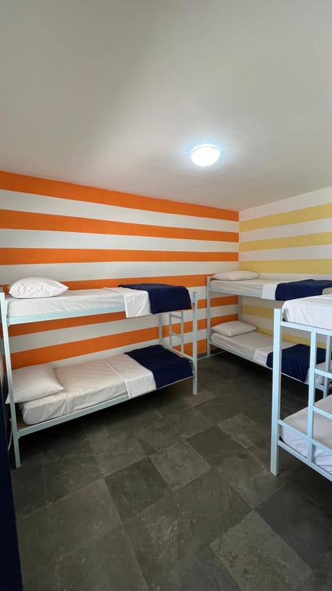 Bed, Photo of the whole room, Bedroom, bunk bed