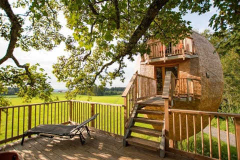 Property building, Natural landscape, Balcony/Terrace