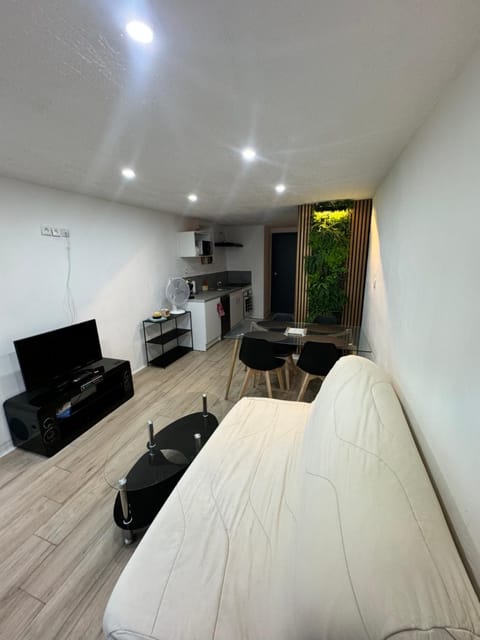 Communal lounge/ TV room, TV and multimedia, Kitchen or kitchenette, Living room