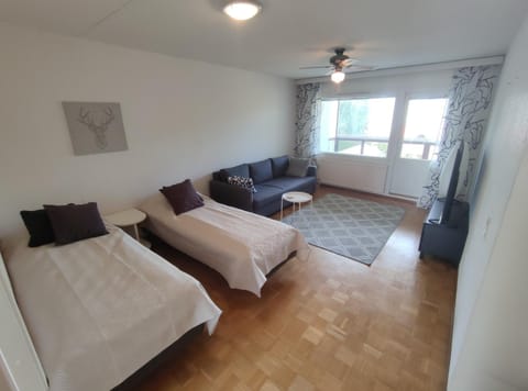 Saunallinen tilava kaksio keskustan ja rautatieaseman tuntumassa Apartment in Finland