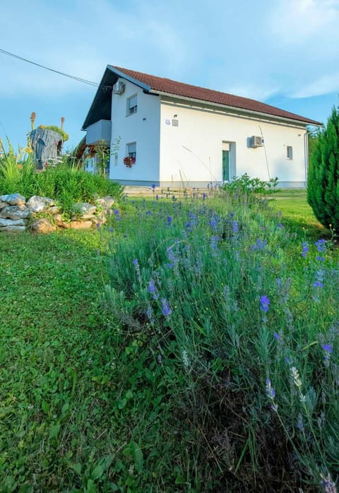 Property building, Garden, Garden view