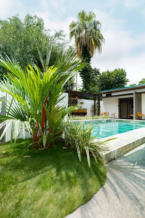 Garden, Pool view, Swimming pool