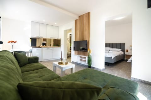 Kitchen or kitchenette, Living room, Photo of the whole room, Seating area