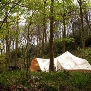 Secret Wood Glamping Luxury tent in North East Derbyshire District