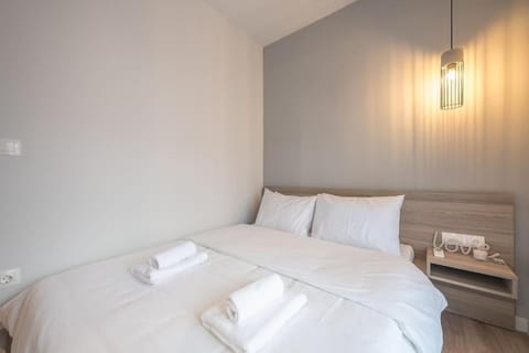 Superior & Spacious Apartment Apartment in Athens