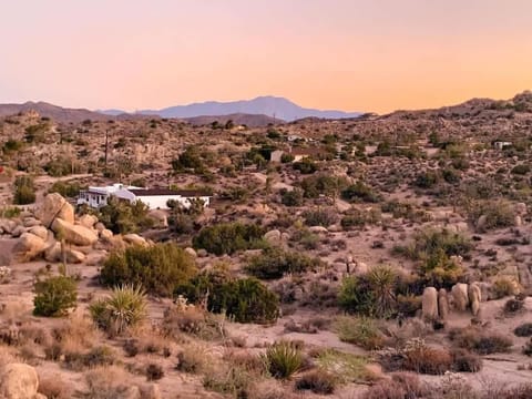 Villa Paloma By The Cohost Company House in Yucca Valley