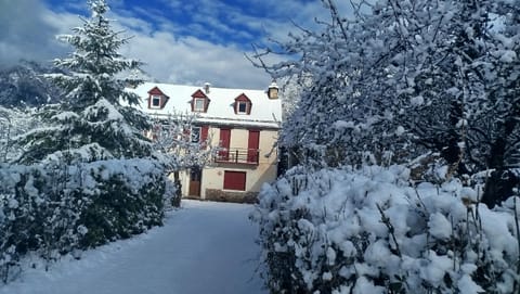 Property building, Garden view
