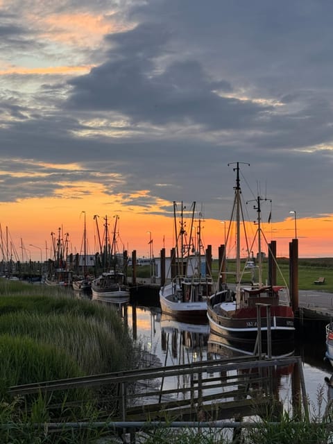 Deichlust House in Schleswig-Holstein