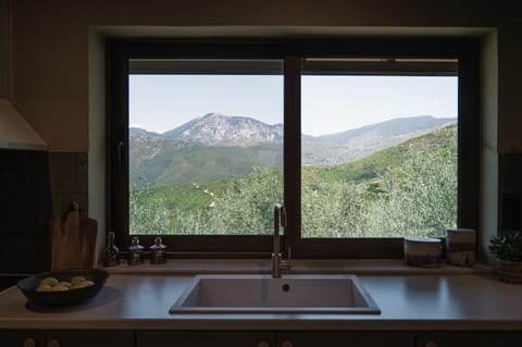 Mountain view, kitchen