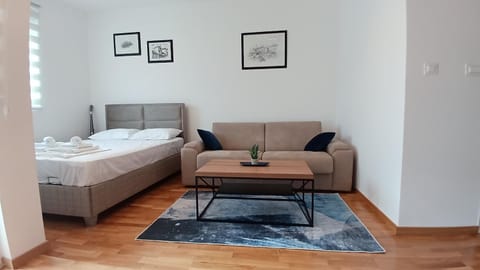 Bed, Living room, Photo of the whole room, Seating area, Bedroom