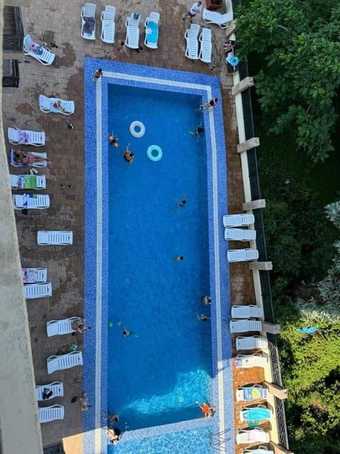 Day, Pool view, Swimming pool