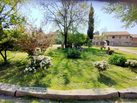 Garden, Garden view