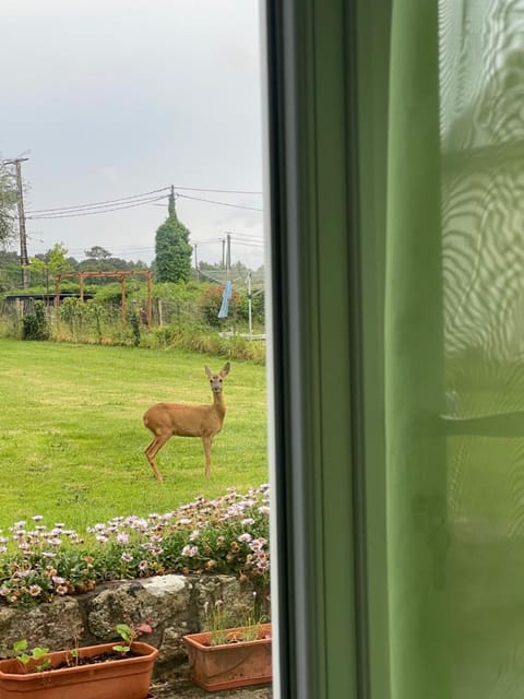 Une halte entre terre et mer House in Brittany