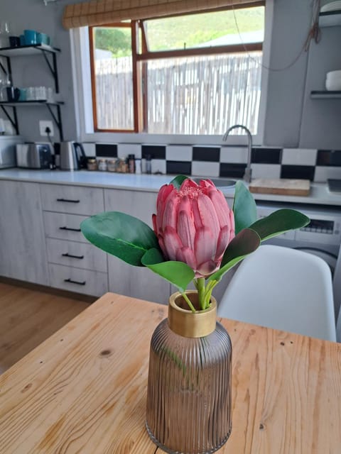 Mountain view, kitchen