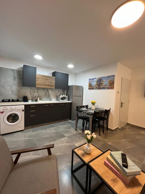 Kitchen or kitchenette, Living room, Seating area, Dining area, stove, washing machine