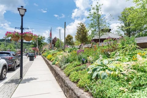 Evergreen on Main House in Blowing Rock