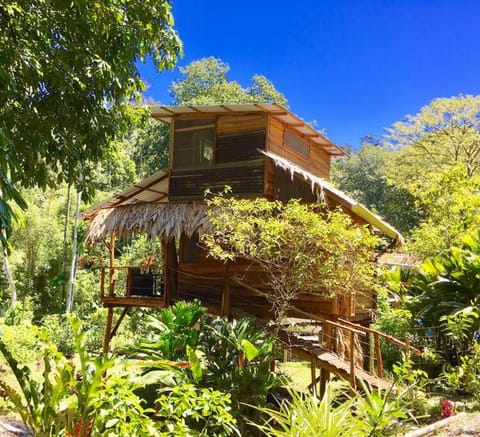 Property building, Natural landscape, Garden view