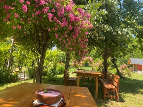 Bujtina Shkambi Bed and Breakfast in Montenegro