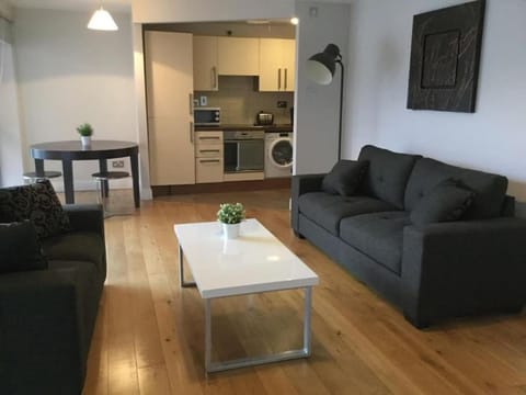 Smithfield area 2 bed apt 15 min walk to Temple Bar Apartment in Dublin