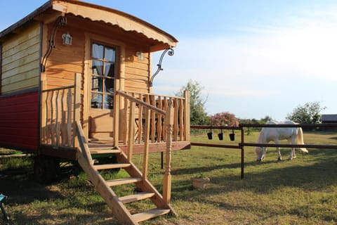 Spring, Day, Natural landscape, Garden