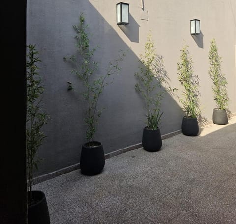 Garden, Garden view