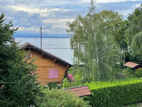 La Véranda de la mouette Apartment in Thonon-les-Bains