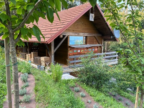 Property building, Other
