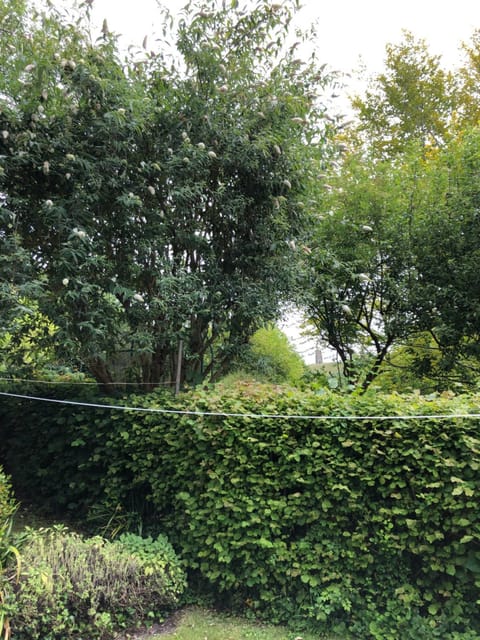 Double room on Chilkwell Street Vacation rental in Glastonbury