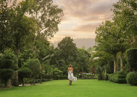 Spring, Day, People, Natural landscape, Garden, Garden view