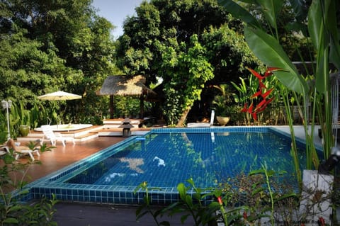 Day, Natural landscape, Garden, Garden view, Pool view, Swimming pool