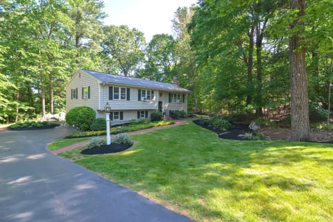 Natural landscape, Garden view, Street view