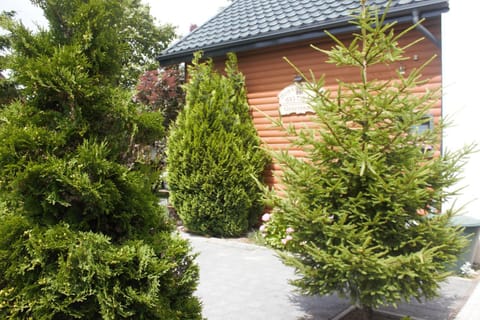 Całoroczny domek z patio House in Wladyslawowo