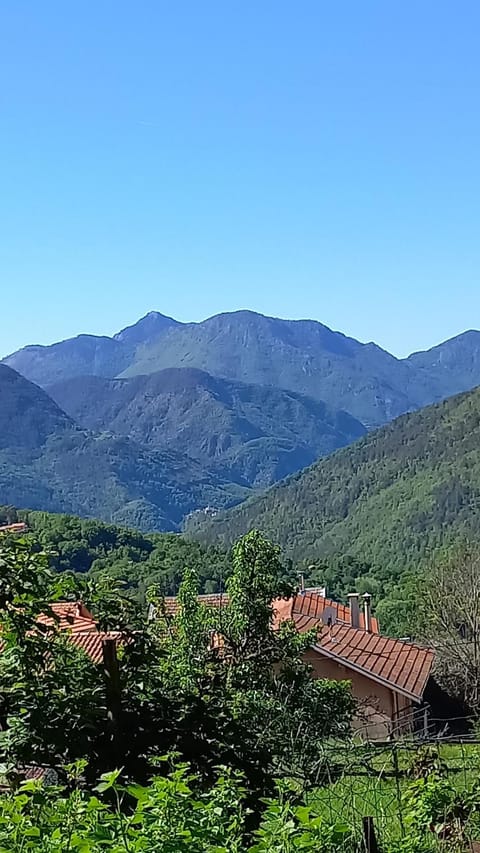 Mountain view
