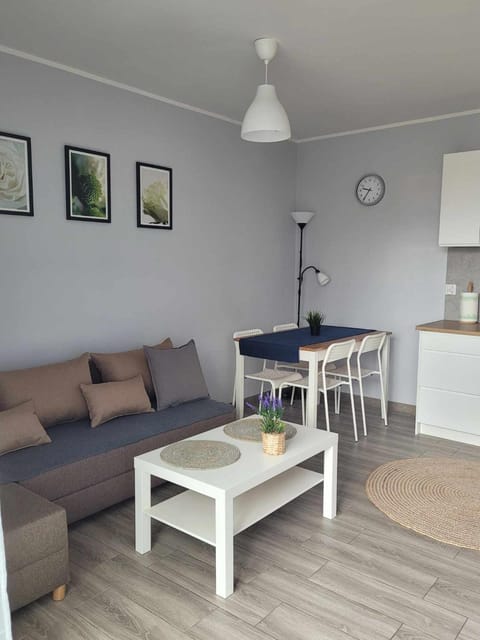 Apartament Wałowa 4 Apartment in Pomeranian Voivodeship