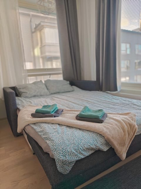 Härmälän Kotoisa - valoisa yksiö - free parking & wifi Apartment in Finland