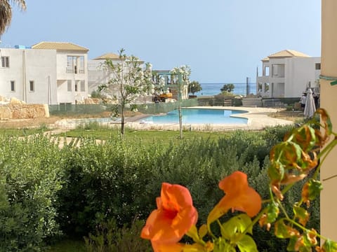 Property building, Day, Garden, Garden view, Sea view, Swimming pool