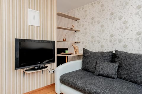 TV and multimedia