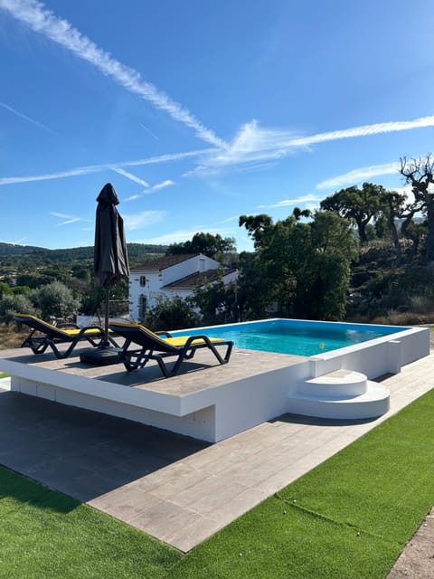 Garden, Pool view, Swimming pool, sunbed